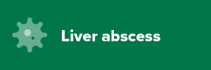 Liver Abscess