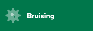 Bruising