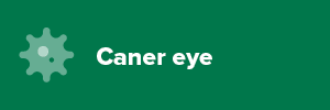 Cancer Eye