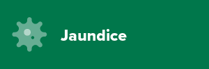 Jaundice