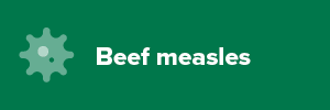 Beef Measles