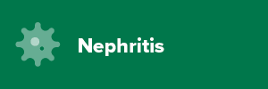 Nephritis